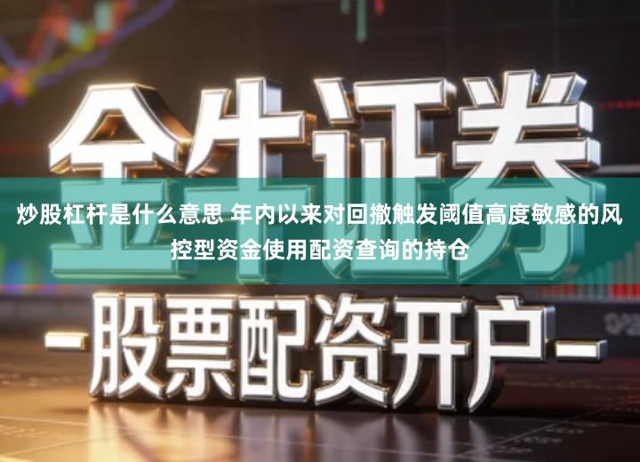 炒股杠杆是什么意思 年内以来对回撤触发阈值高度敏感的风控型资金使用配资查询的持仓