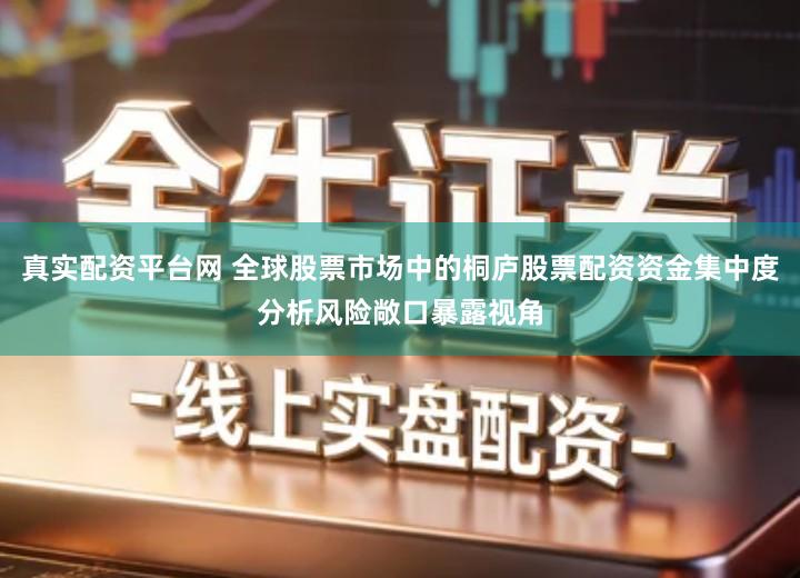 真实配资平台网 全球股票市场中的桐庐股票配资资金集中度分析风险敞口暴露视角